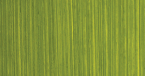 Barocco B 2564 + Vel A 2564