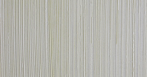 Barocco Bianco + Vel D 2561