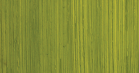 Barocco C 2564 + Vel A 2564