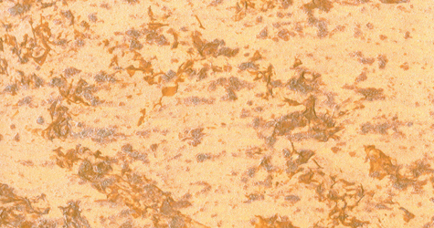 M20 Giallo  Perla Blu