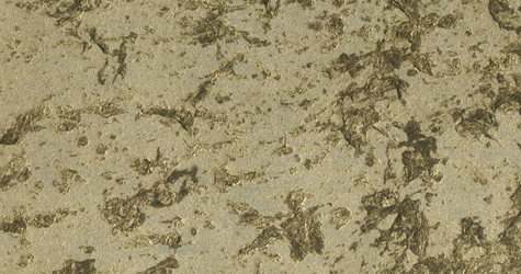 M21 Grigo  Perla Dorato