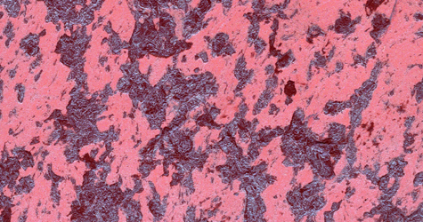 M22 Rosso  Perla Blu