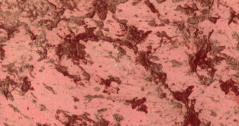 M22 Rosso  Perla Dorato