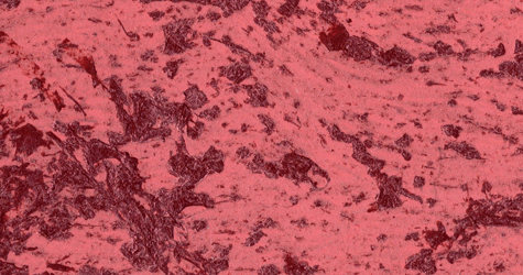 M22 Rosso  Perla Rosso