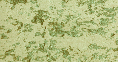 M24 Marrone  Perla Verde