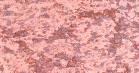 M25 Arancio  Perla Blu