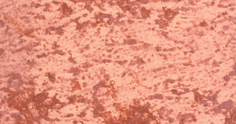 M25 Arancio  Perla Rosso